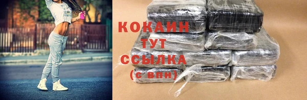 дживик Дмитровск