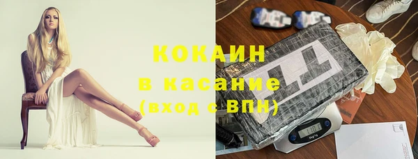 бошки Тында