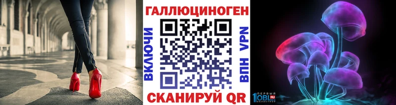 Псилоцибиновые грибы Psilocybe  магазин продажи наркотиков  Кондрово 