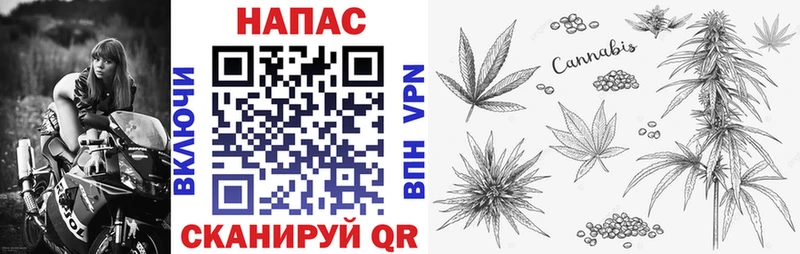 Канабис тримм  купить наркотики цена  Кондрово 